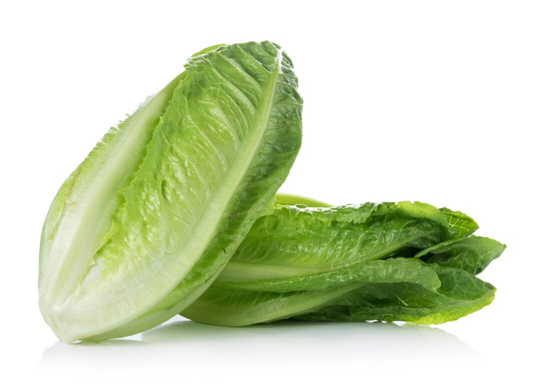 Romaine Lettuce