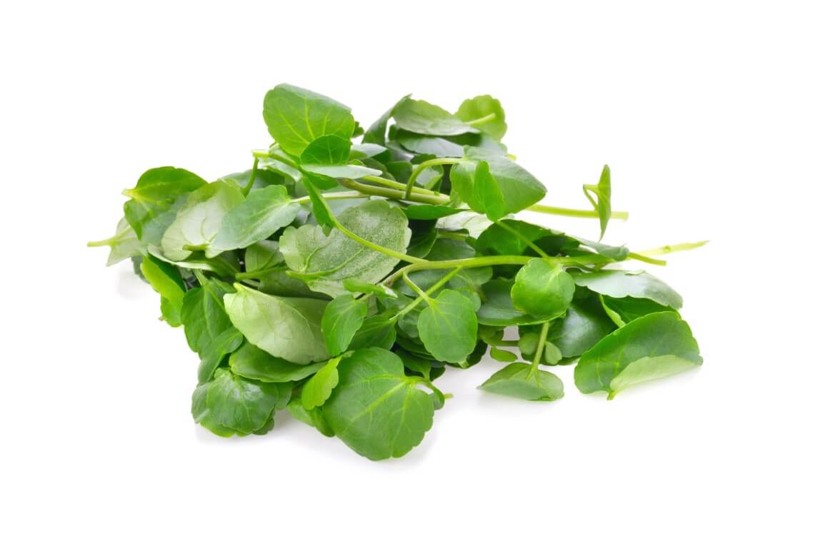 Watercress