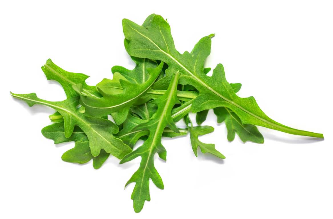 Wild Rocket