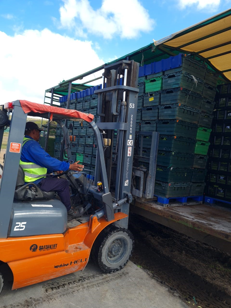 How Local Farms Strengthen Communities