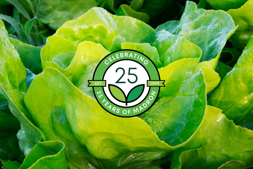 25 Years of Resilience, Growth, and Cultivating Excellence: Madron’s 2024 Year in Review